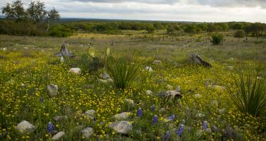 Blue Mountain Peak Ranch