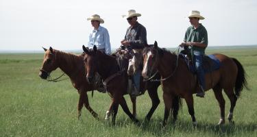 Mortenson Ranch