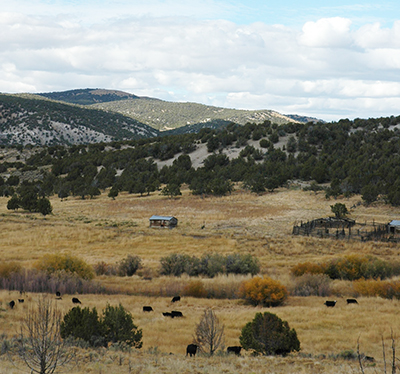 Pipe Springs Ranch