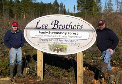 Forests For Cranberries