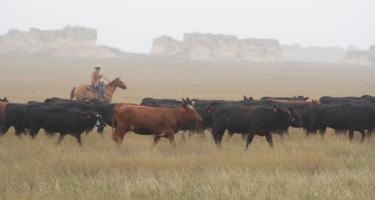 Hoeme Family Farm and Ranch