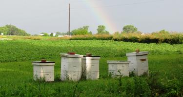 Meuer Farm