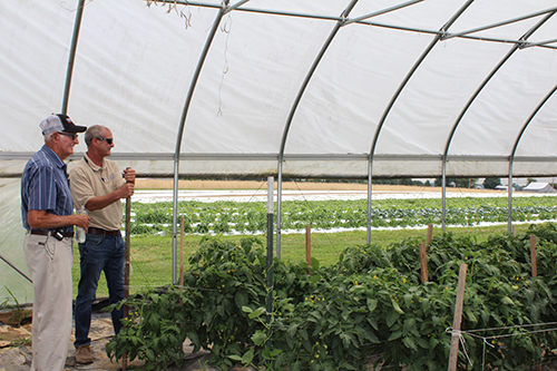 Trunnell Family Farm