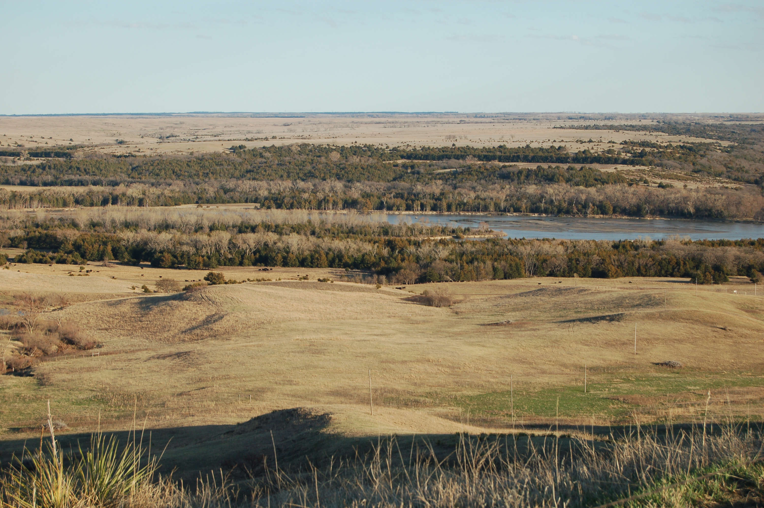 Kalkowski River View