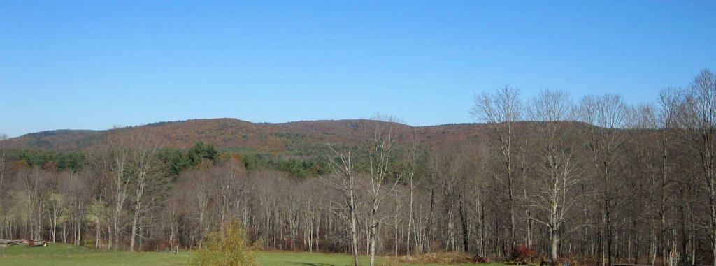 Brushy Mountain easement, photo courtesy of W.D. Cowls Inc.