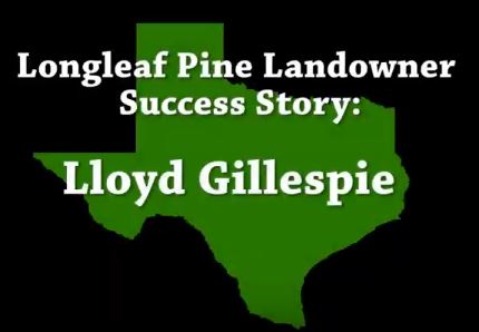 Longleaf Legacy