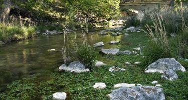 Llano Springs Ranch