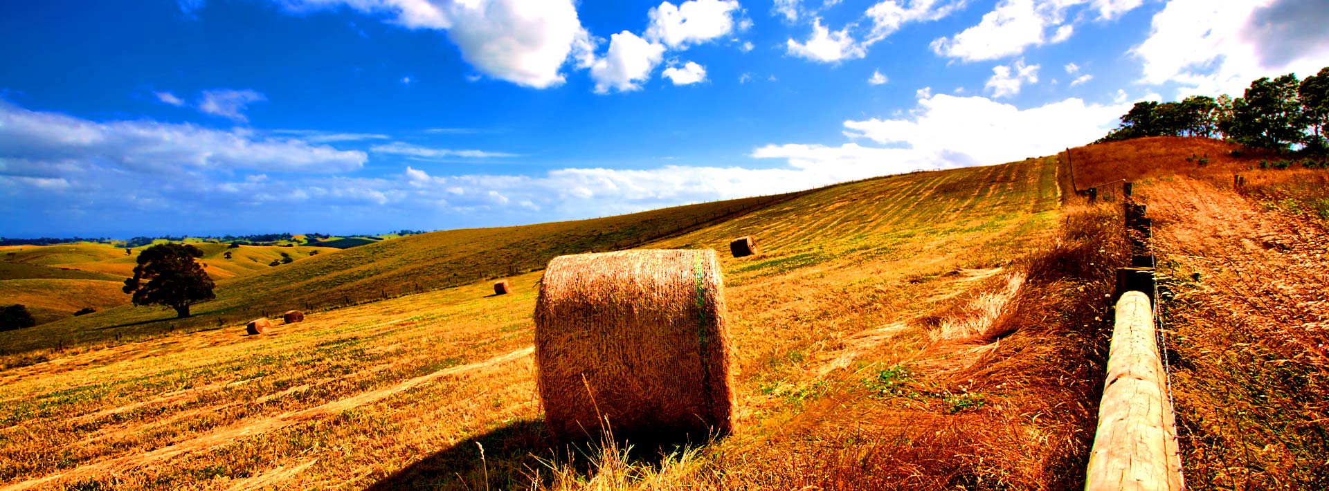 LandCAN
