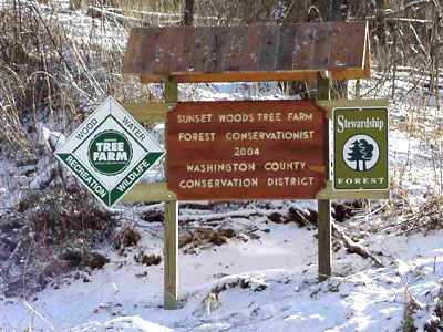 tree farm conservation