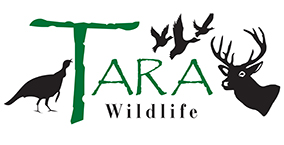 Tara Wildlife